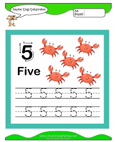 5 Rakamı Çizgi Çalışmaları Çalışma Sayfaları